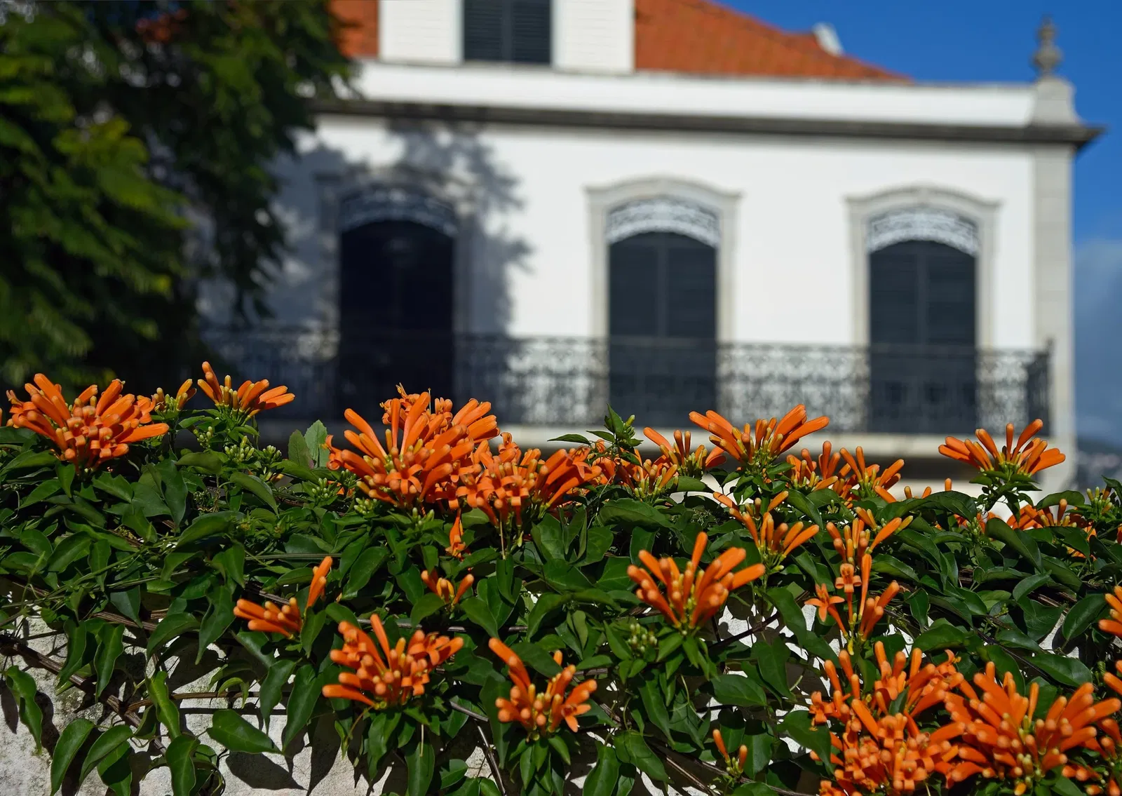 Universe of Memories João Carlos Abreu