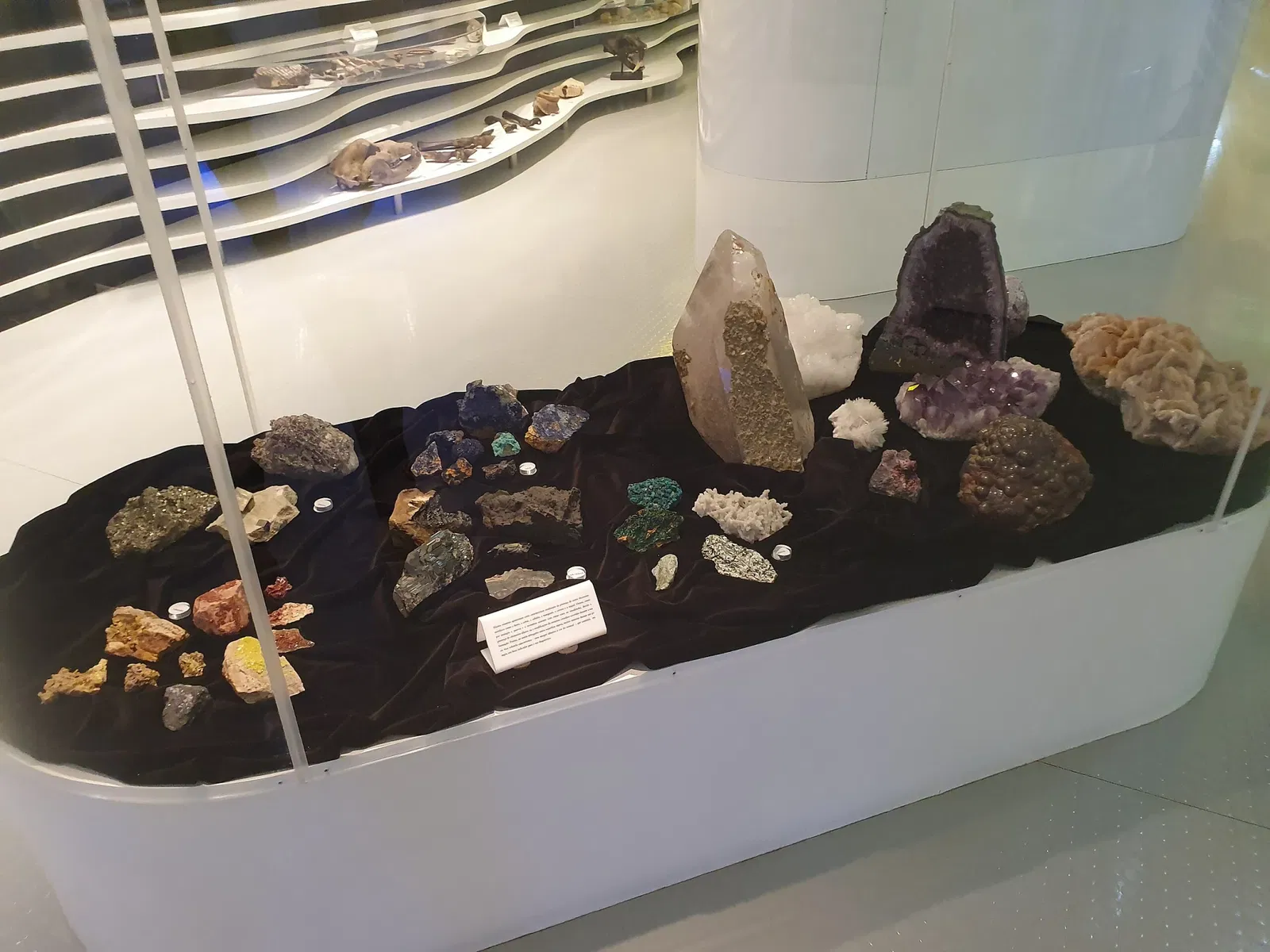 Sintra Natural History Museum