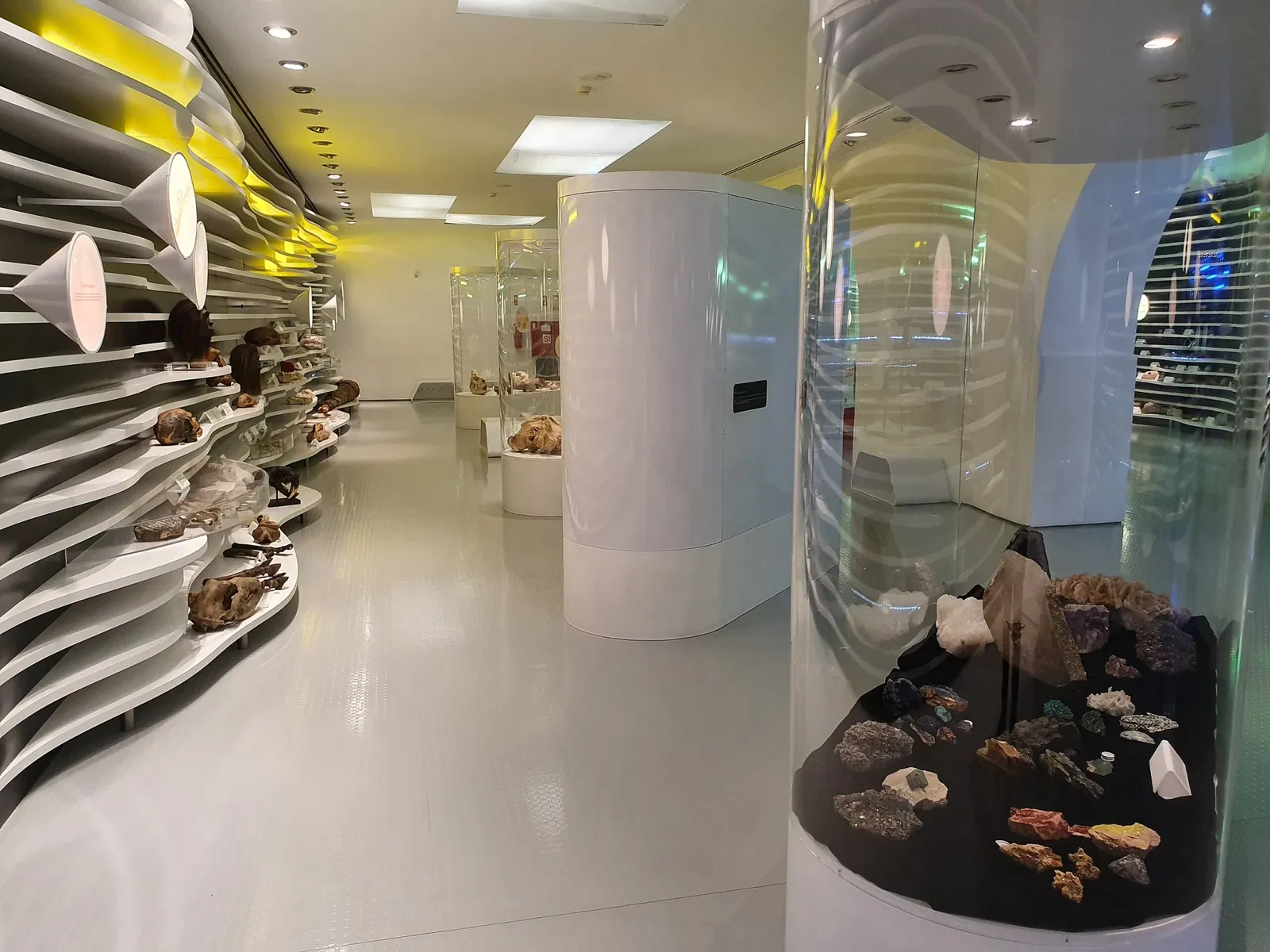 Sintra Natural History Museum