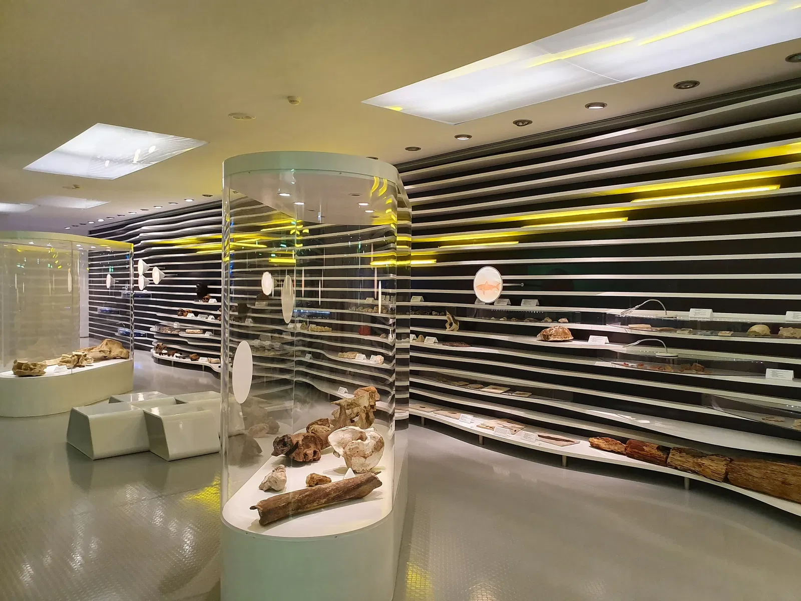 Sintra Natural History Museum