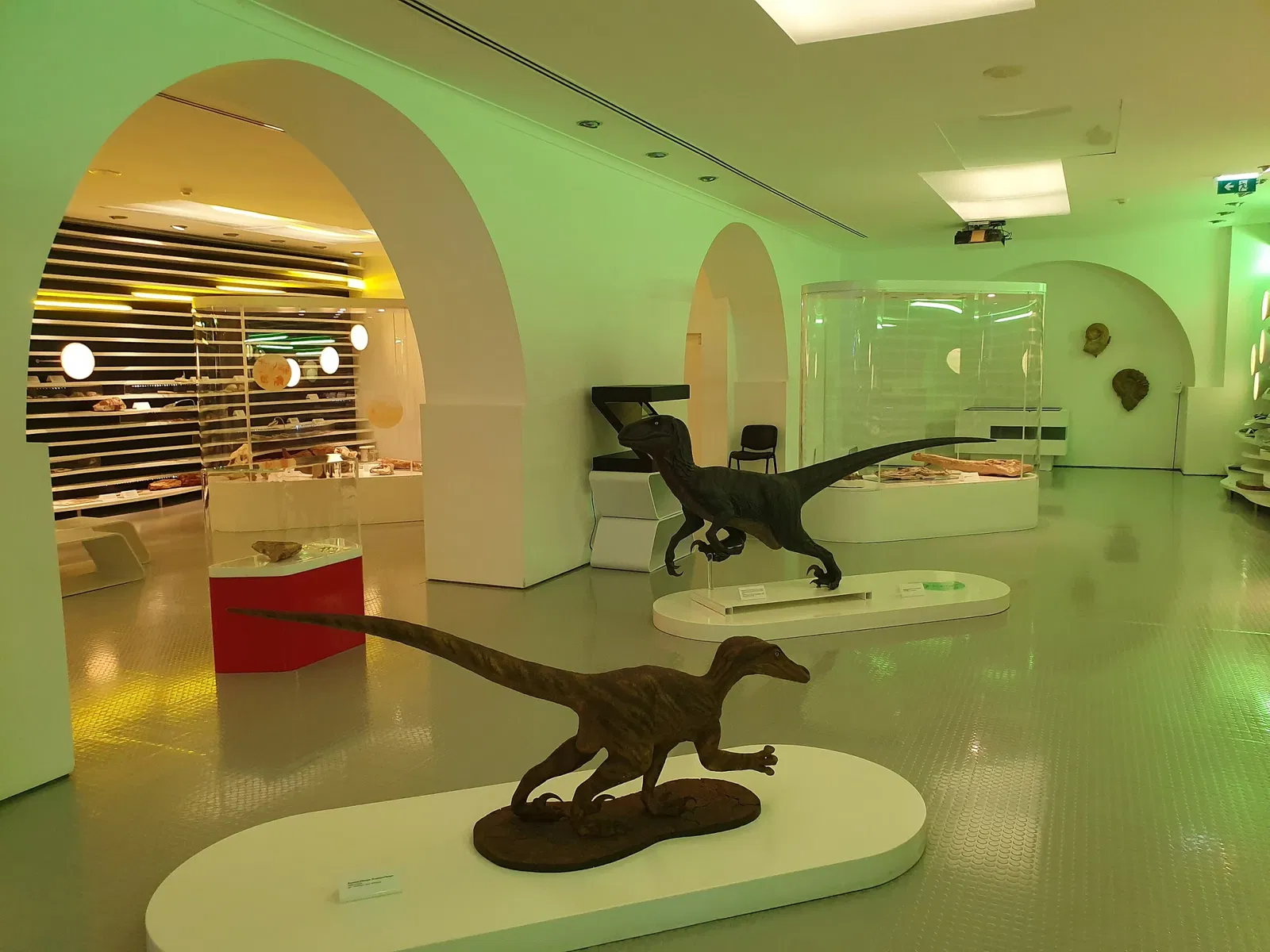 Sintra Natural History Museum