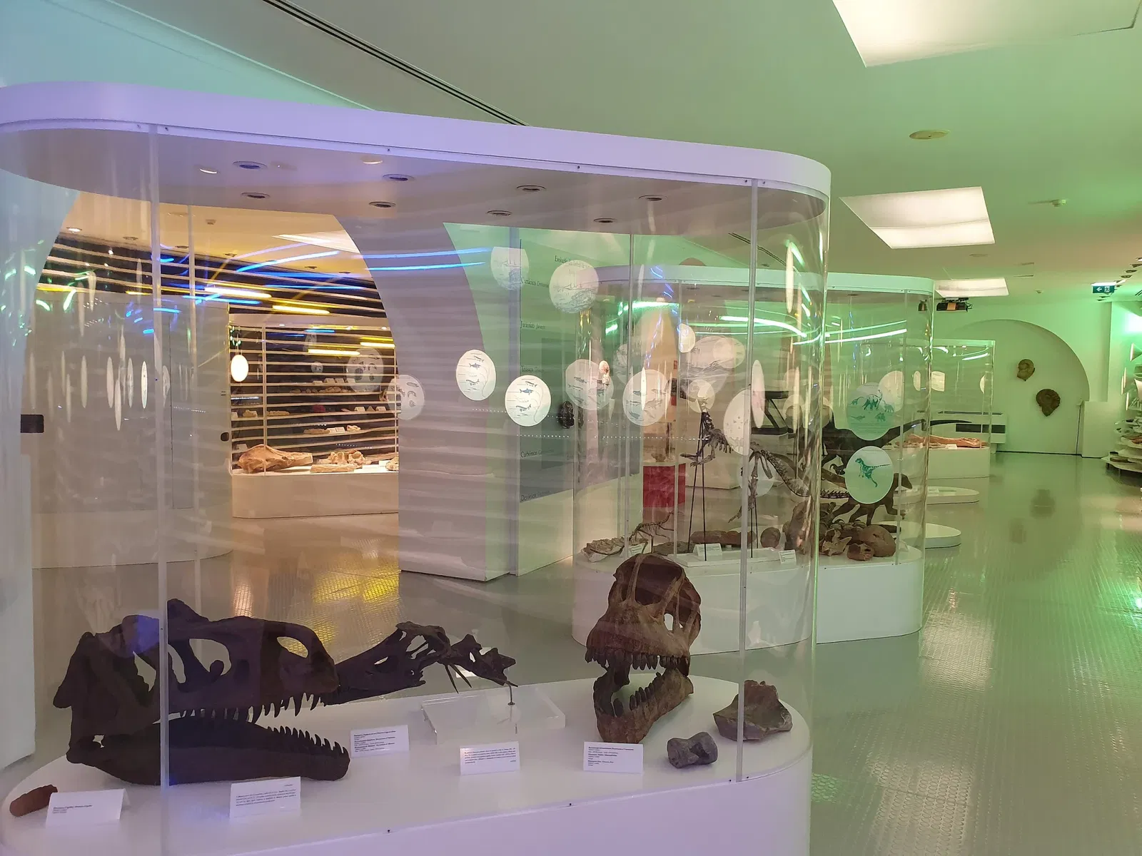 Sintra Natural History Museum