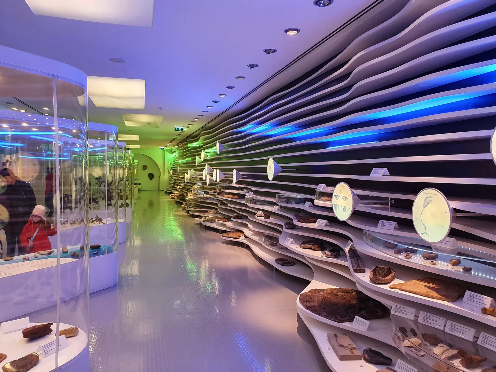 Sintra Natural History Museum