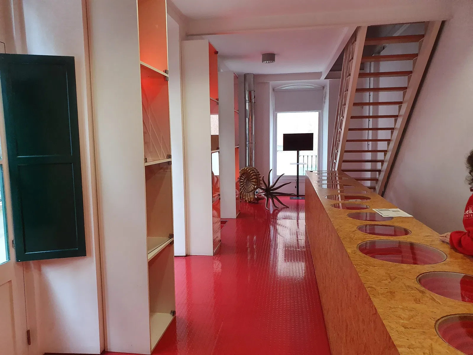 Sintra Natural History Museum