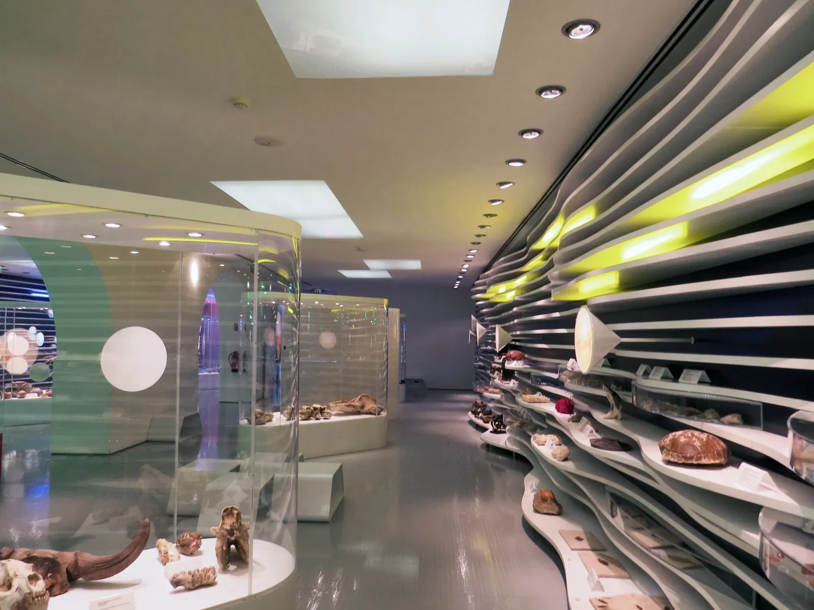 Sintra Natural History Museum