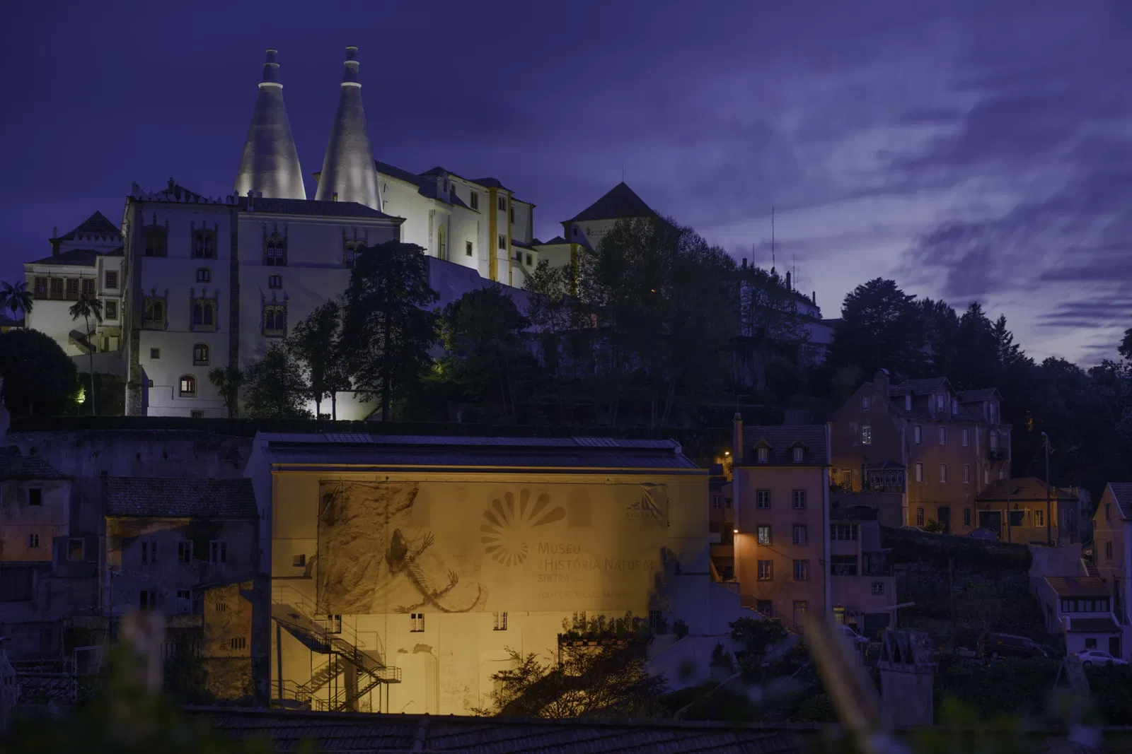 Sintra Natural History Museum