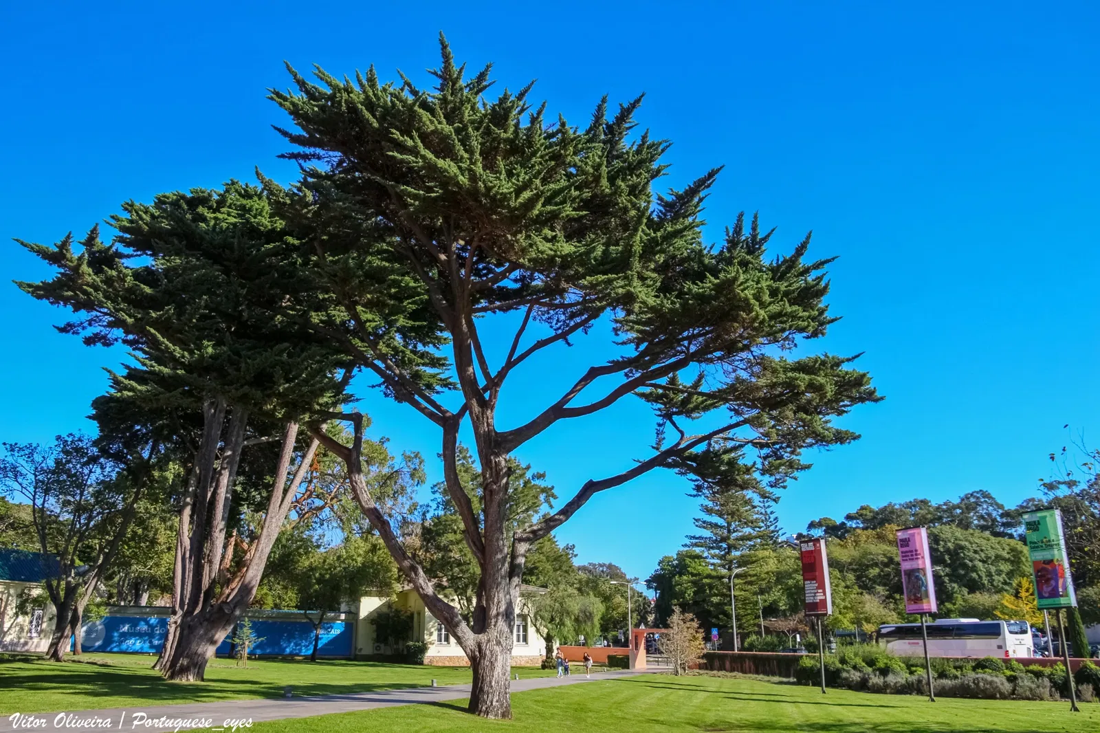 Paula Rego House of Stories