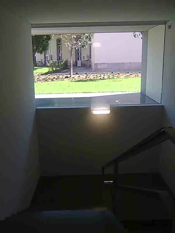 Paula Rego House of Stories