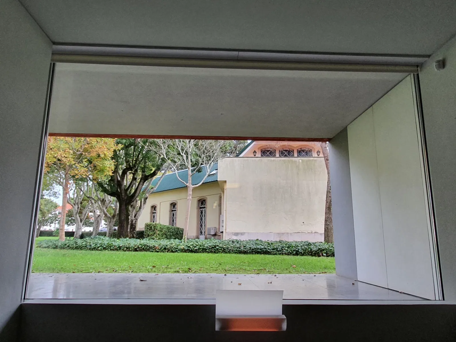 Paula Rego House of Stories