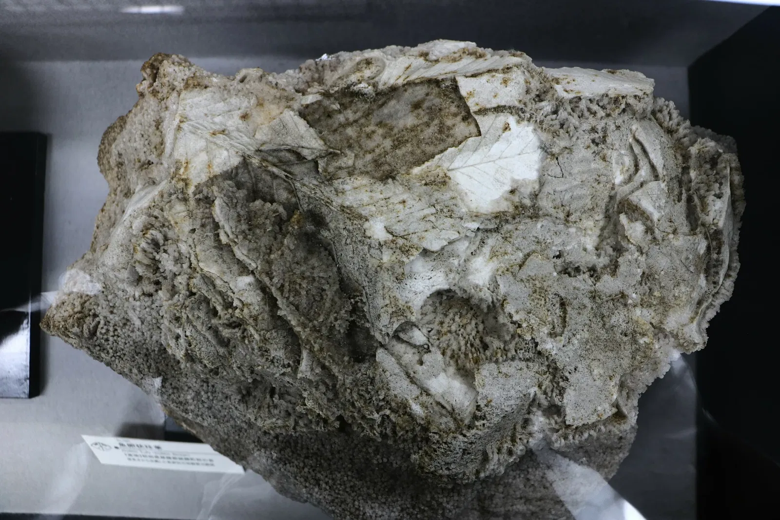 Mineral Industry Museum, Akita University