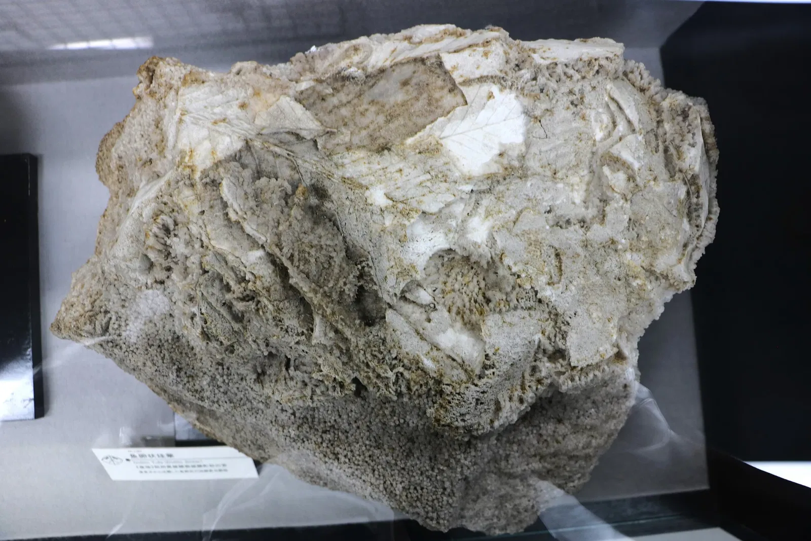 Mineral Industry Museum, Akita University