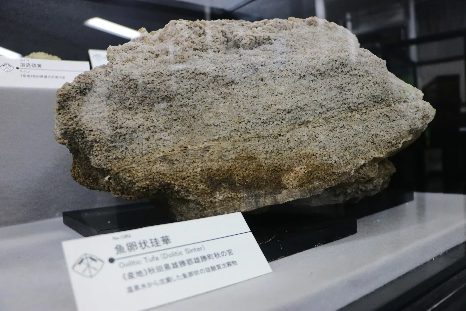 Mineral Industry Museum, Akita University