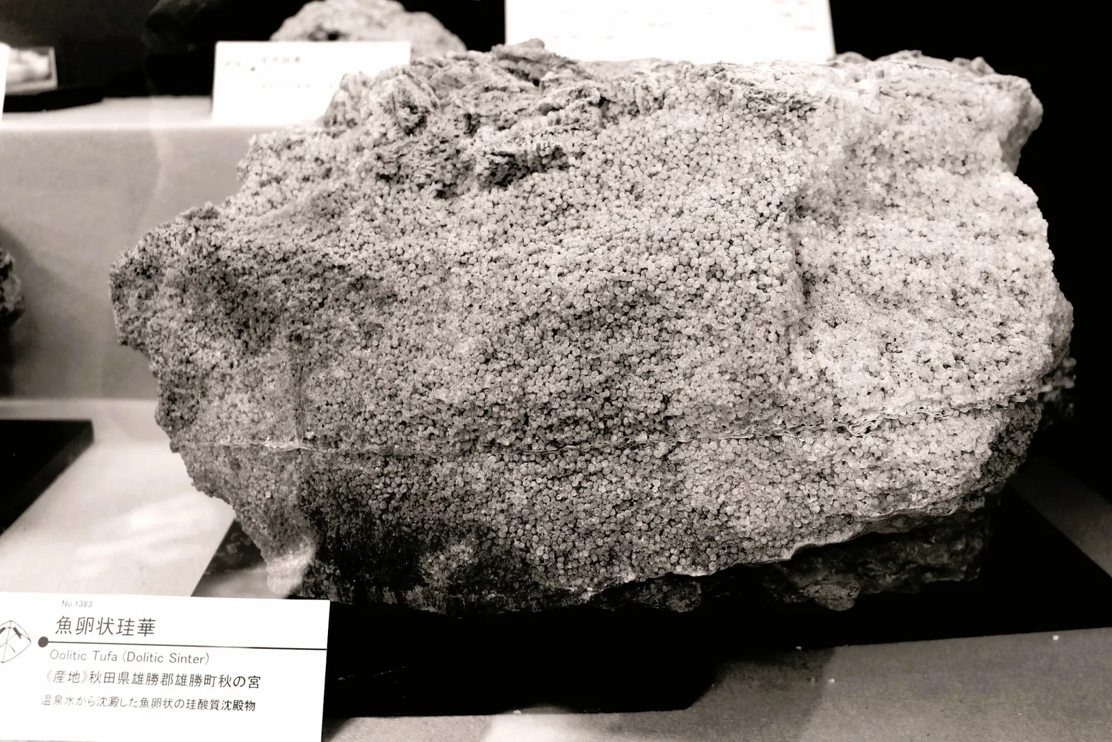 Mineral Industry Museum, Akita University