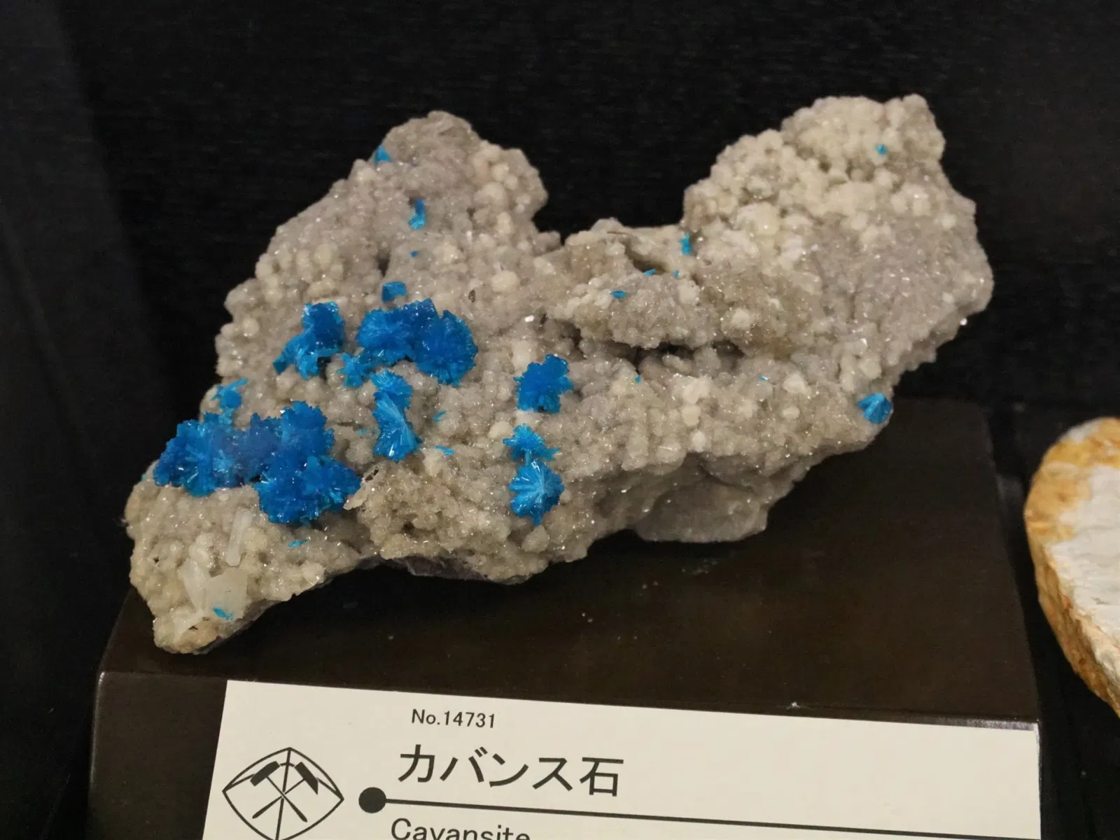Mineral Industry Museum, Akita University