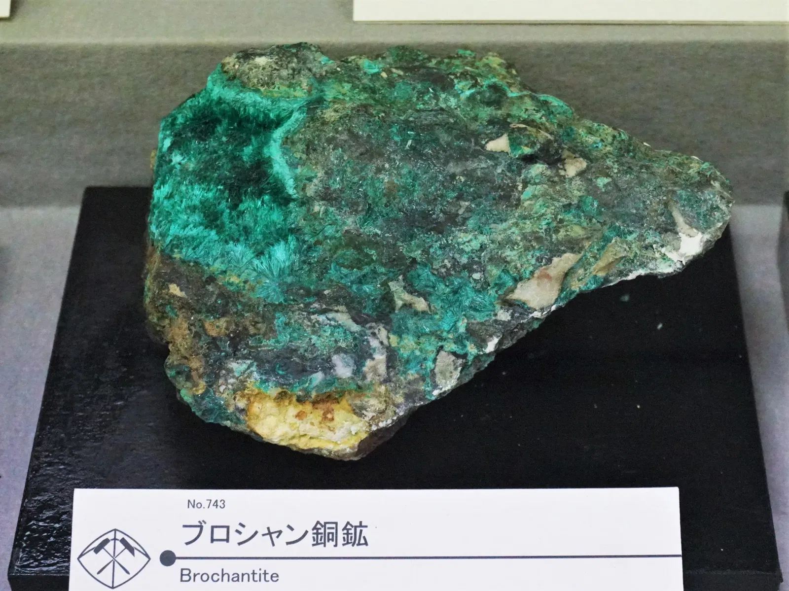 Mineral Industry Museum, Akita University