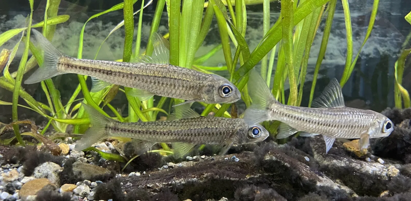 Himeji City Aquarium