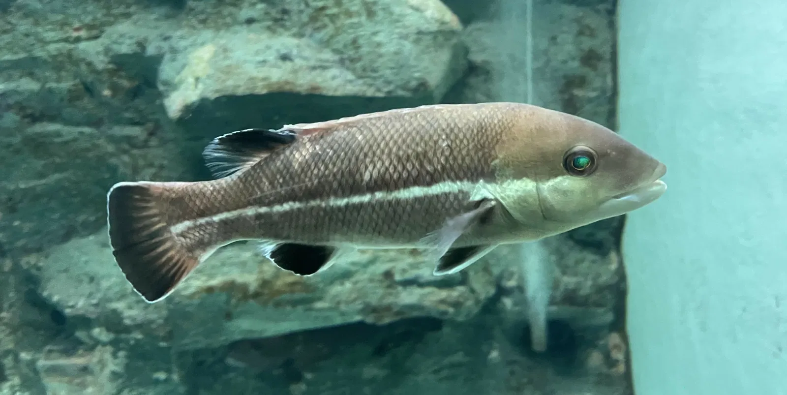 Himeji City Aquarium