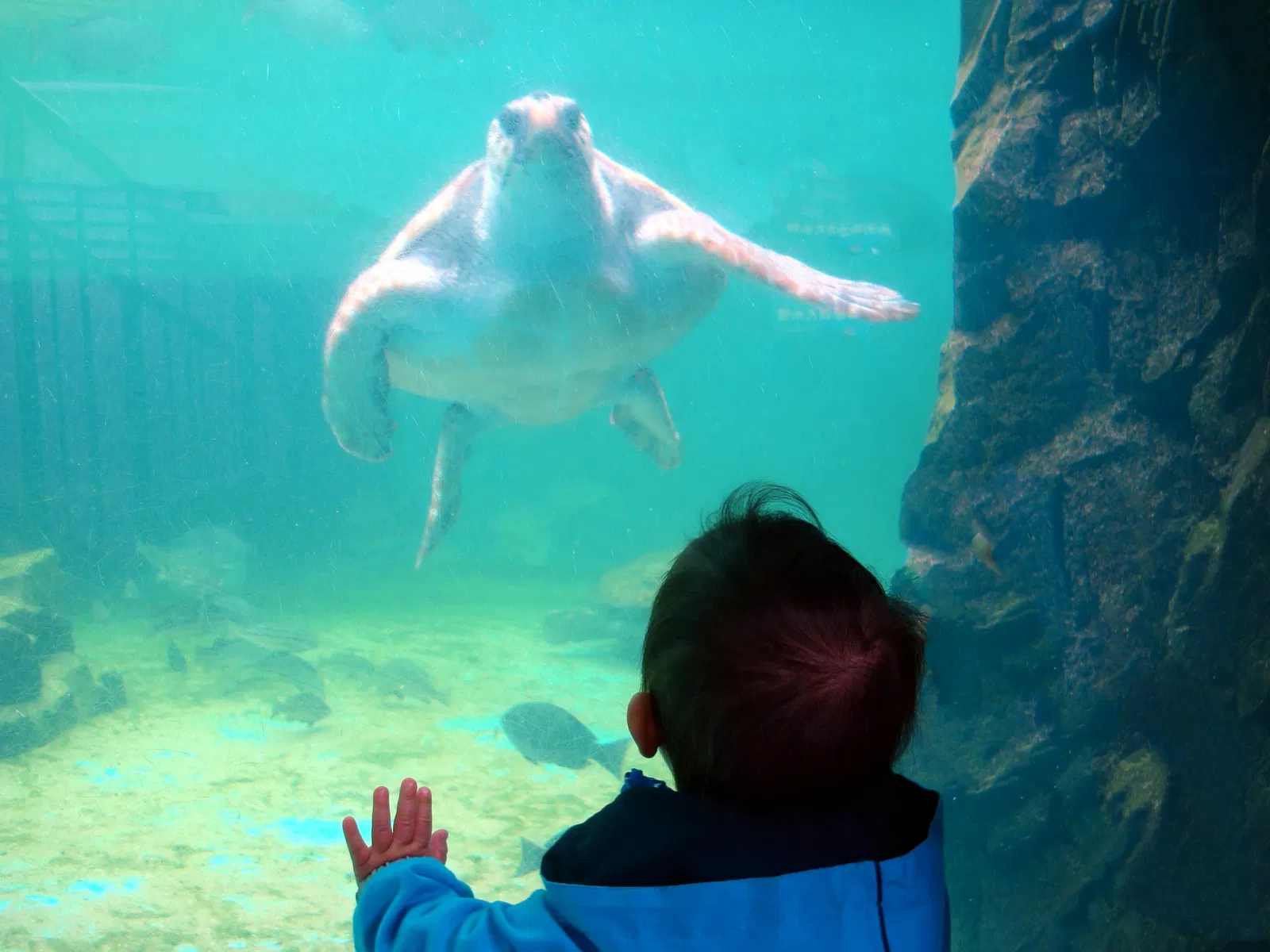 Himeji City Aquarium