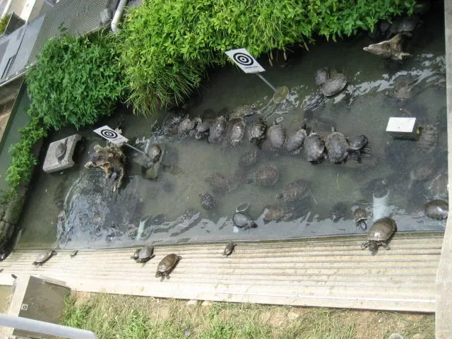 Himeji City Aquarium