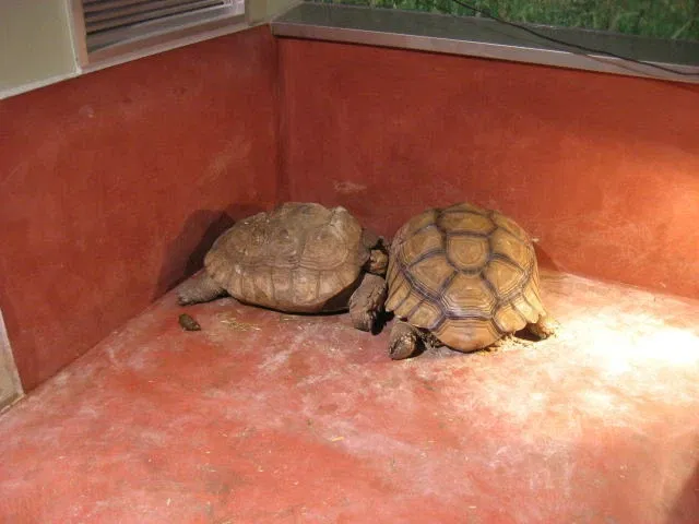 Himeji City Aquarium
