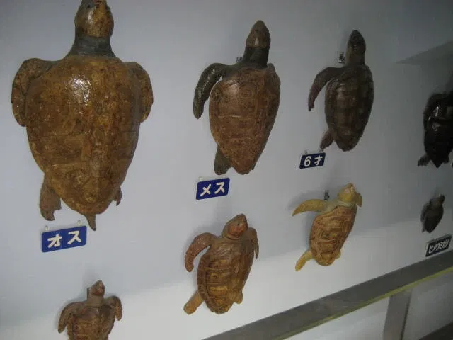 Himeji City Aquarium