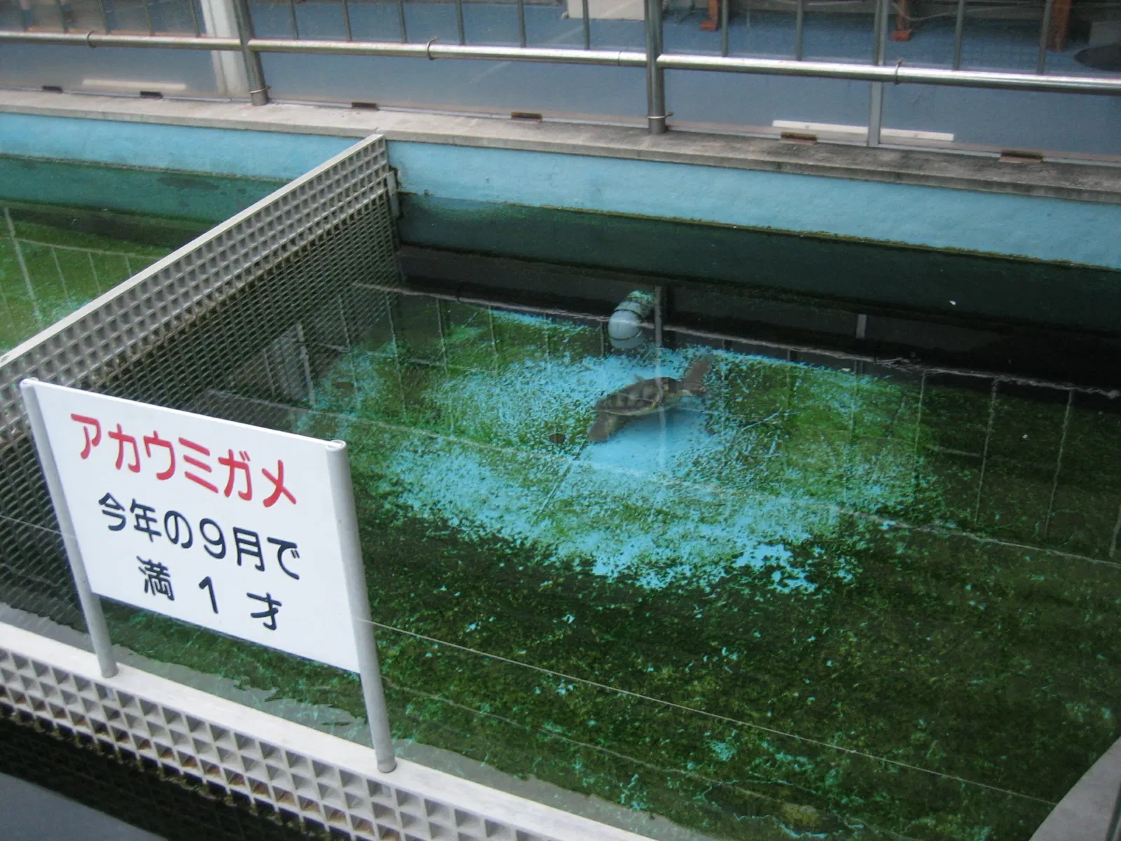 Himeji City Aquarium