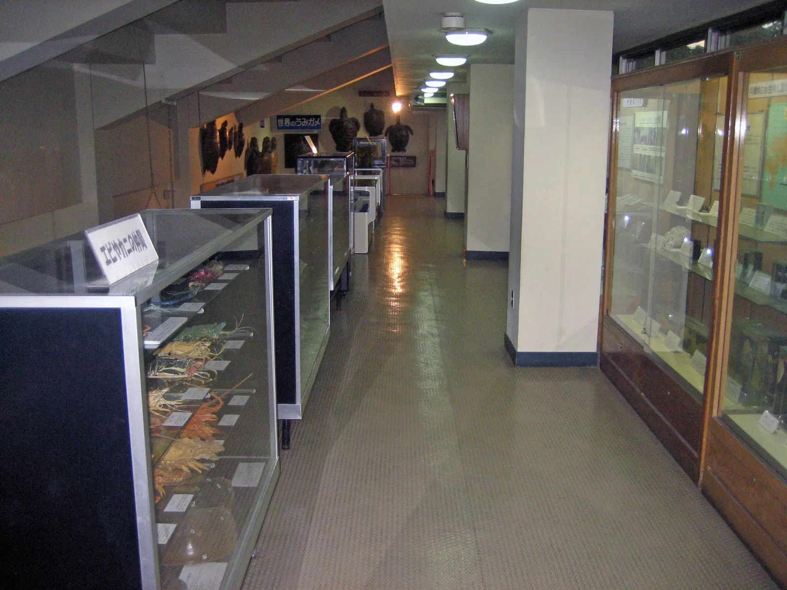 Himeji City Aquarium