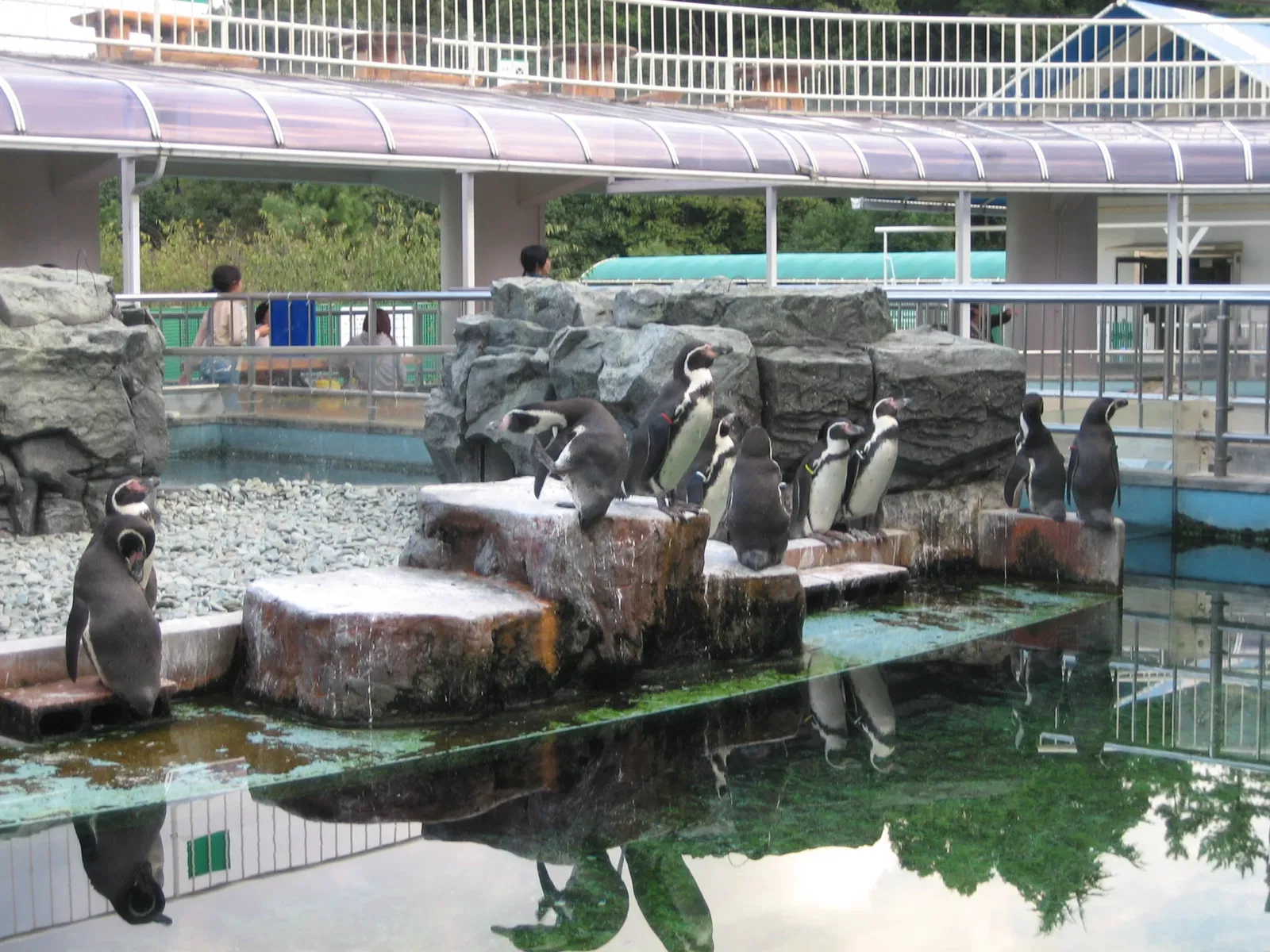 Himeji City Aquarium