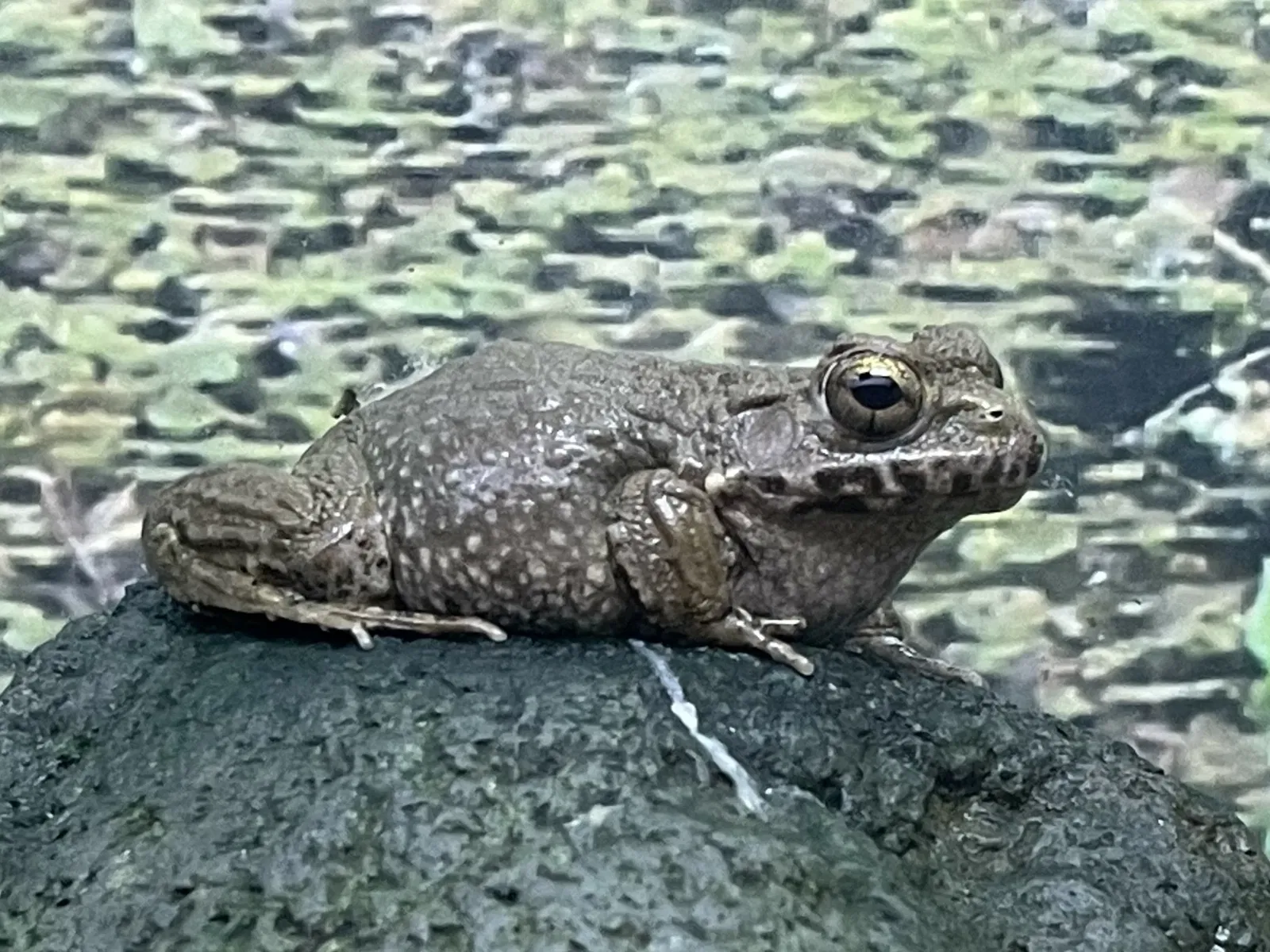 Himeji City Aquarium
