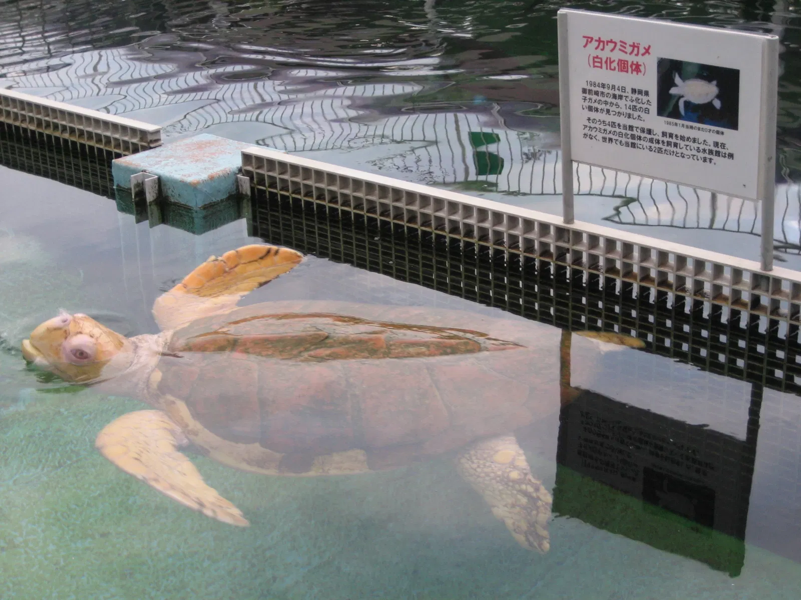 Himeji City Aquarium