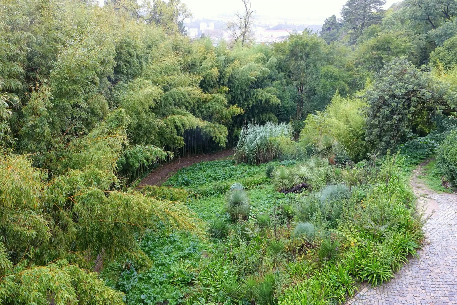 Botanical Garden of the University of Coimbra