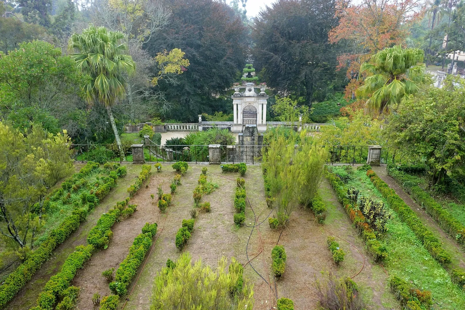 Botanical Garden of the University of Coimbra