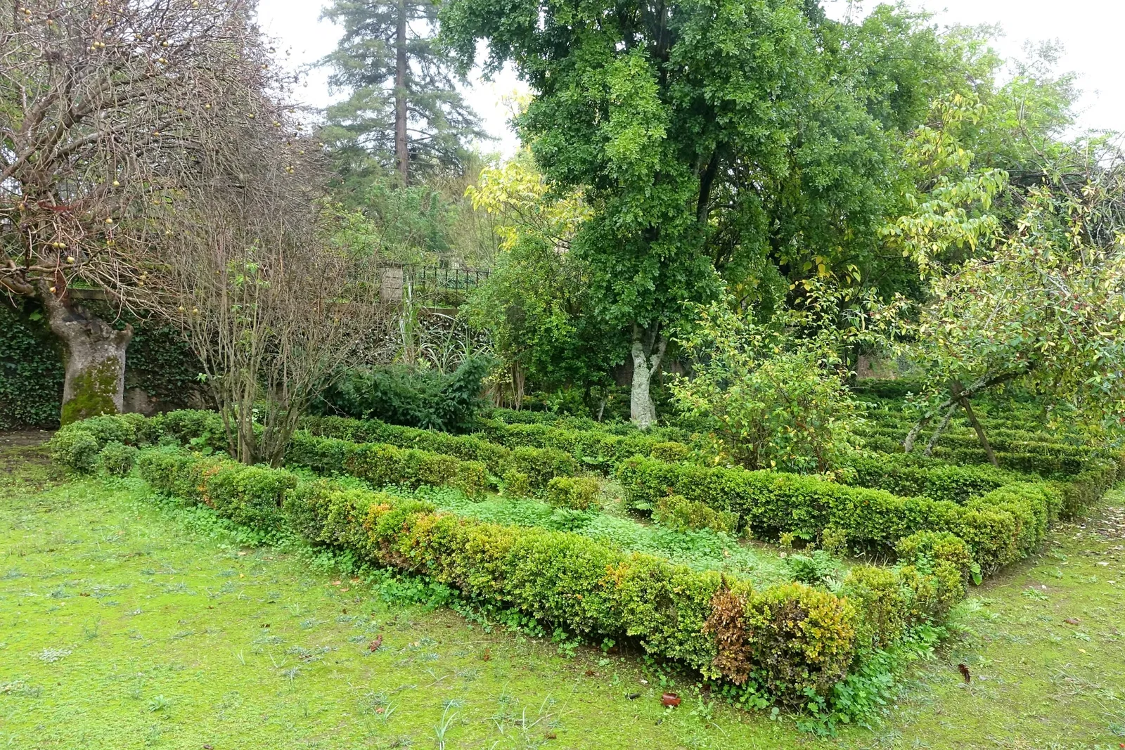Botanical Garden of the University of Coimbra