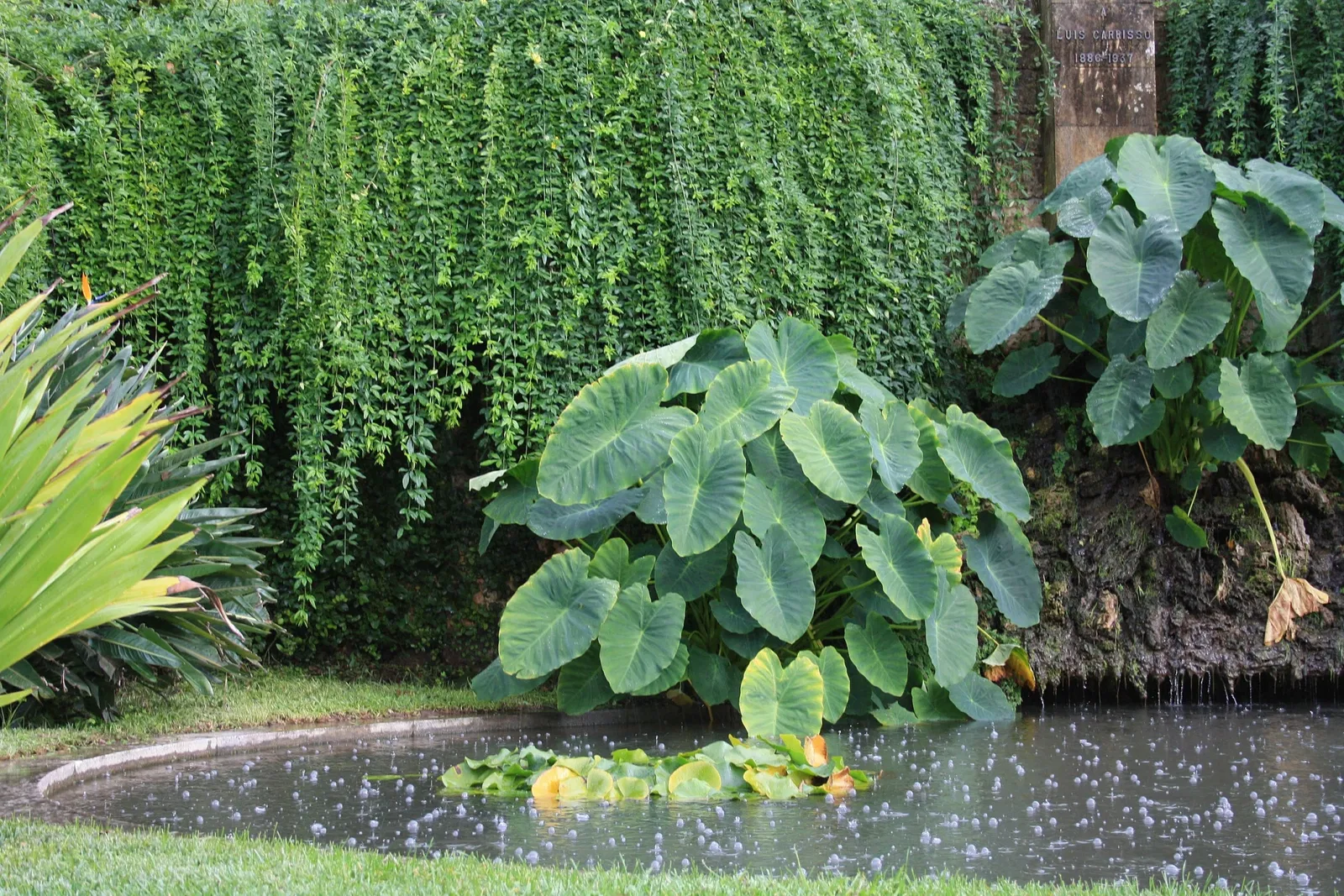 Botanical Garden of the University of Coimbra