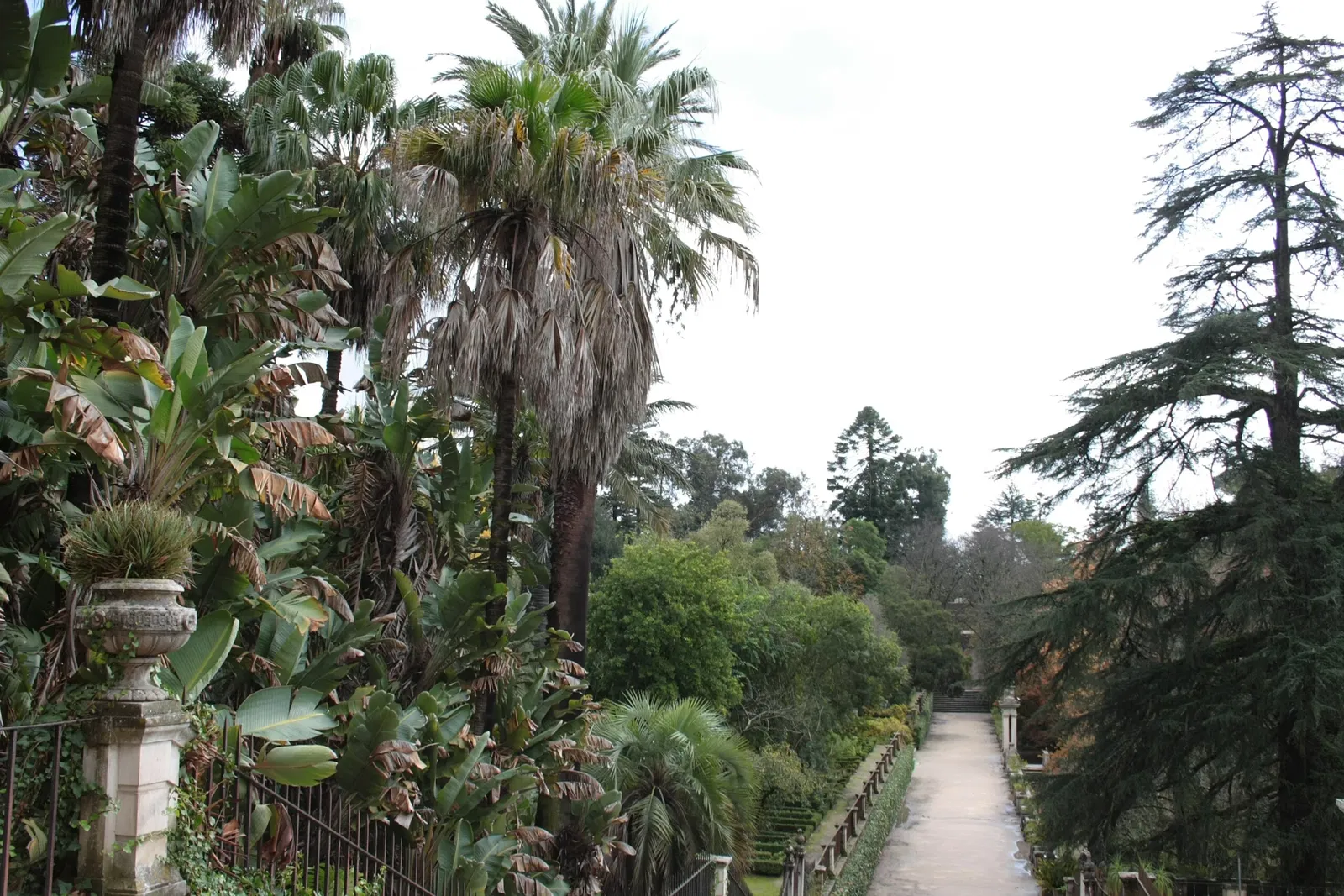Botanical Garden of the University of Coimbra