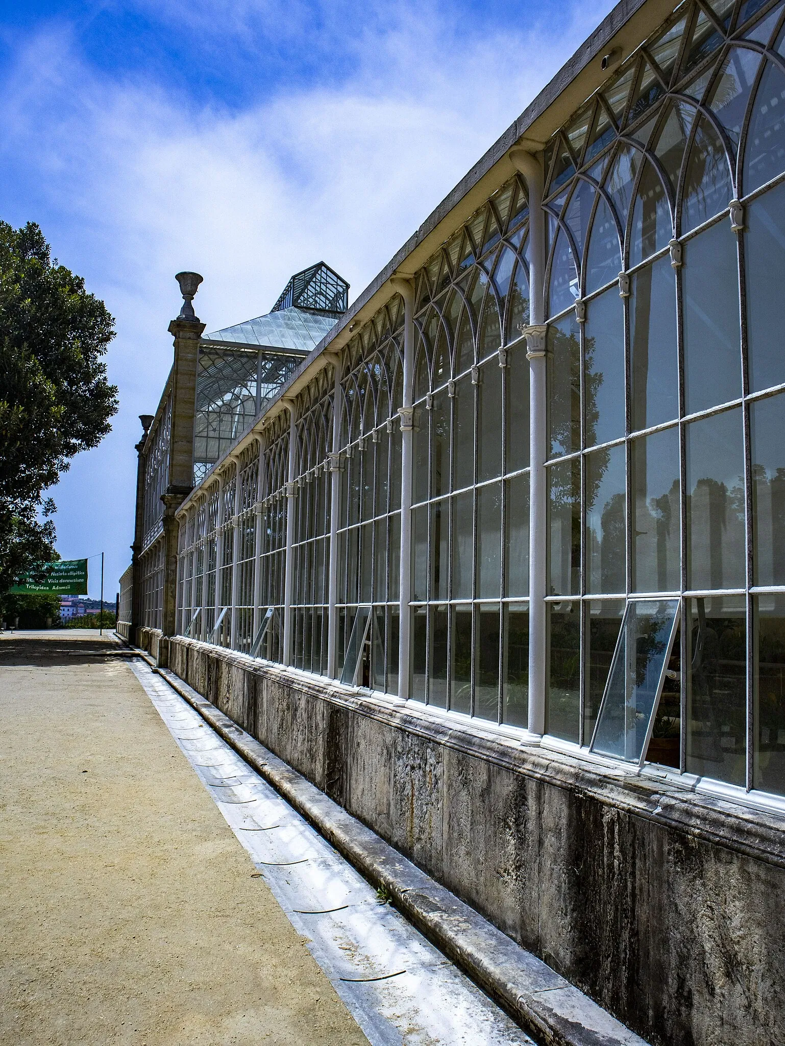 Botanical Garden of the University of Coimbra