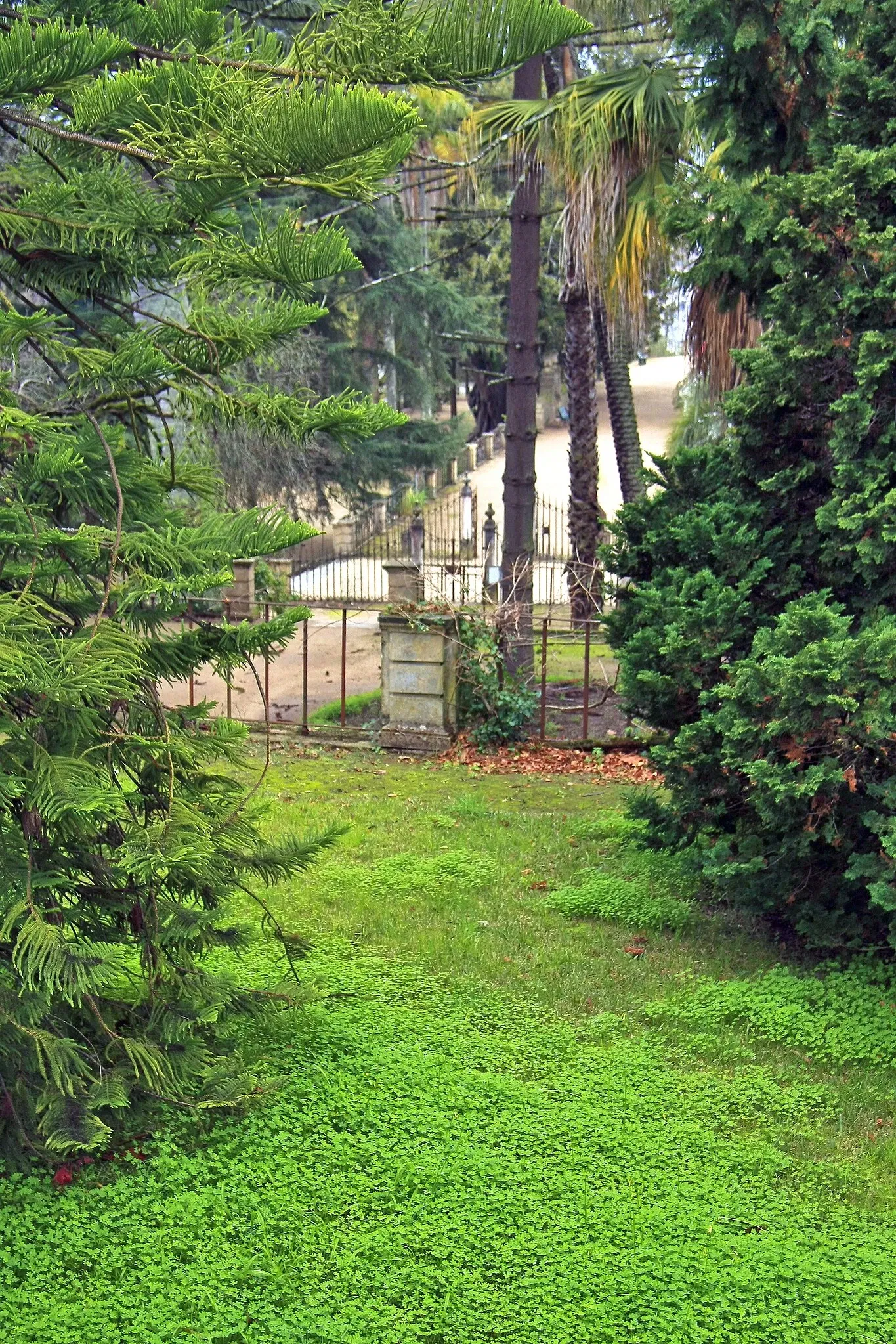 Botanical Garden of the University of Coimbra