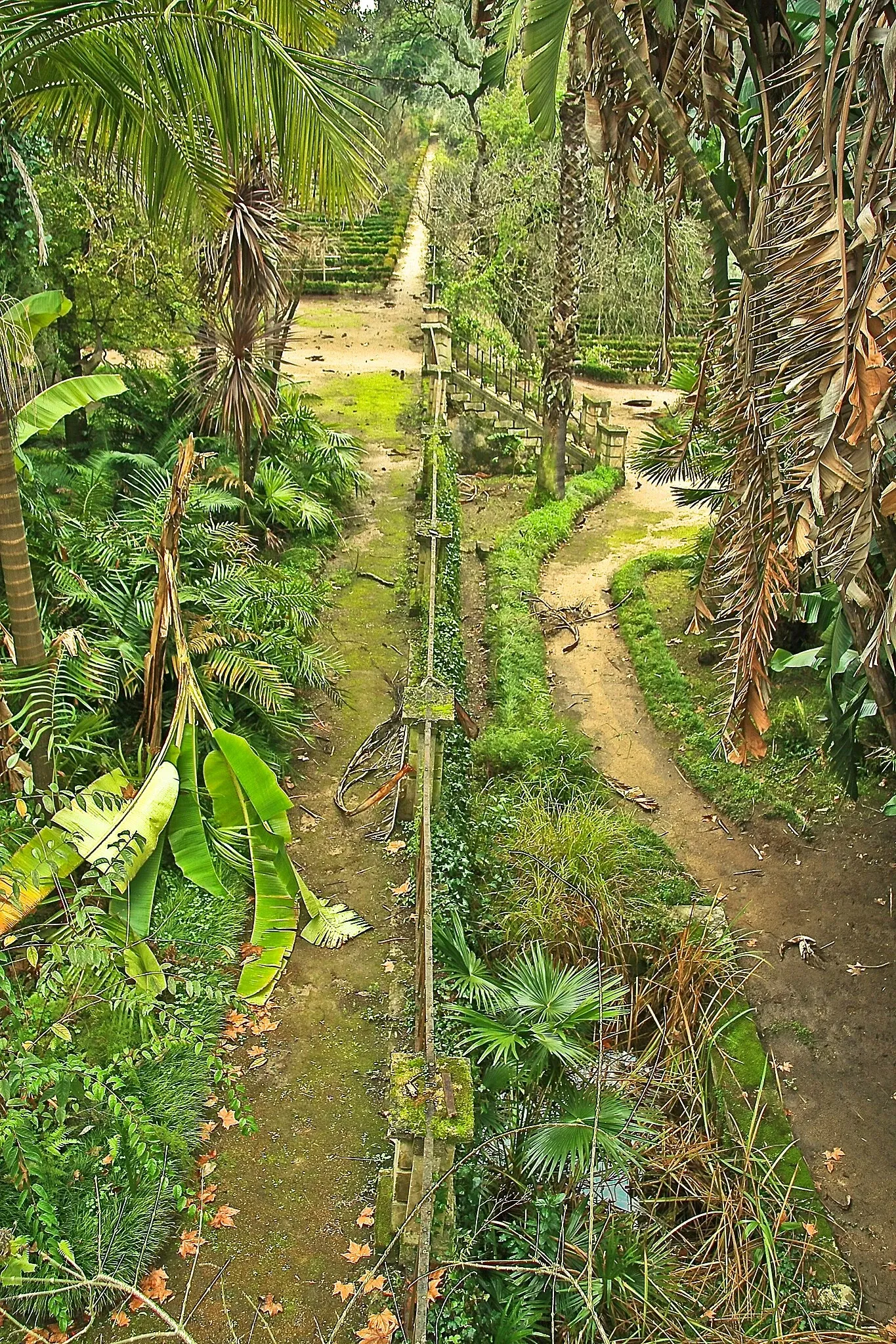 Botanical Garden of the University of Coimbra