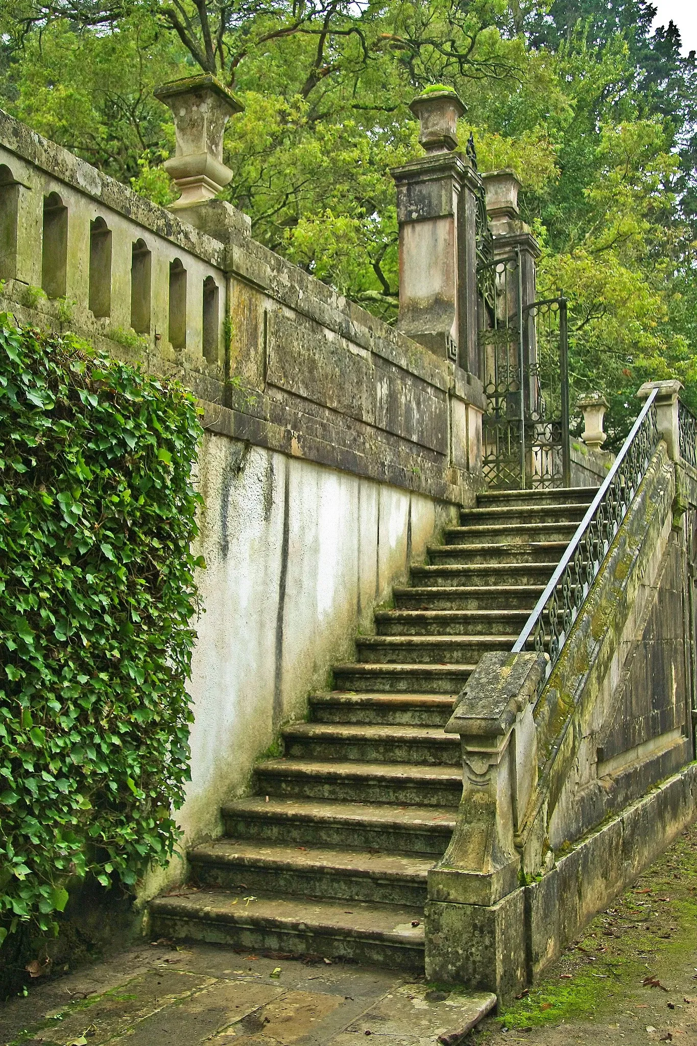 Botanical Garden of the University of Coimbra