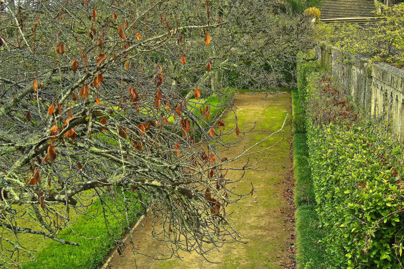 Botanical Garden of the University of Coimbra
