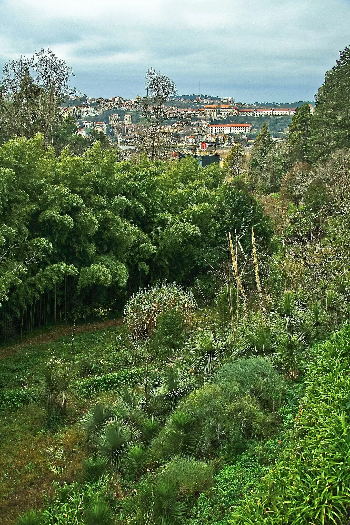 Botanical Garden of the University of Coimbra