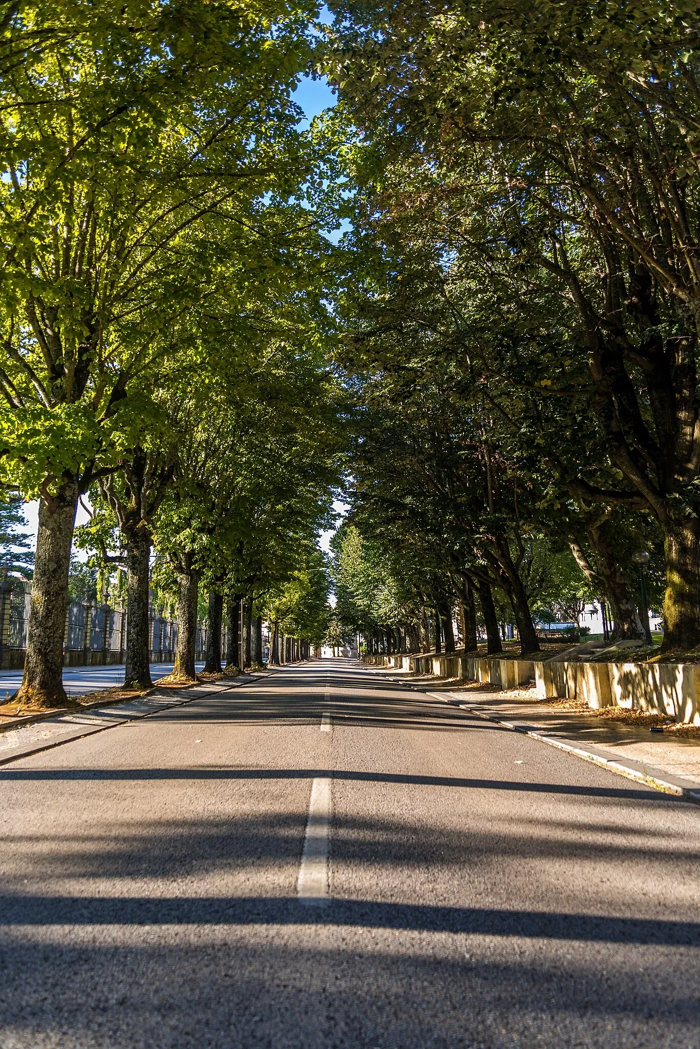 Botanical Garden of the University of Coimbra