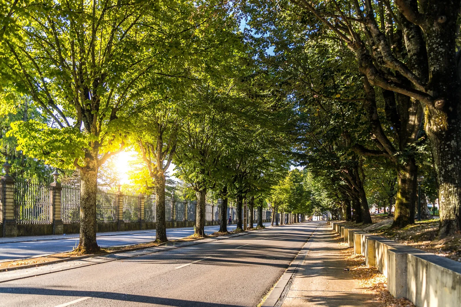 Botanical Garden of the University of Coimbra