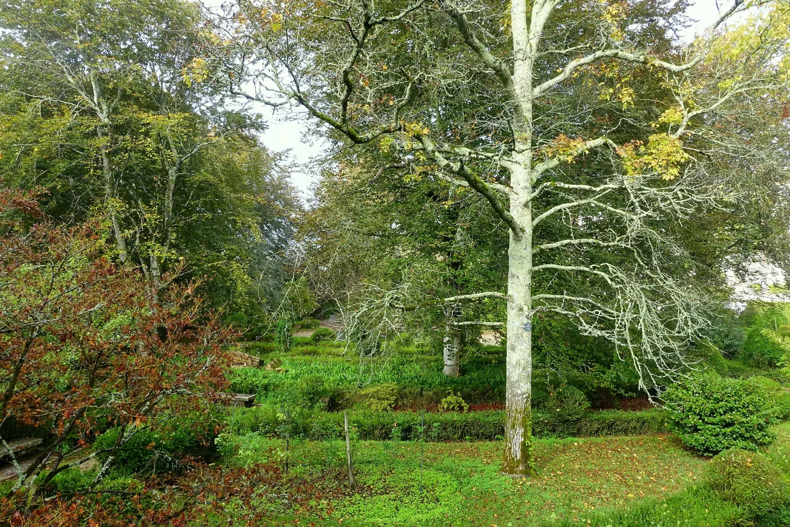 Botanical Garden of the University of Coimbra