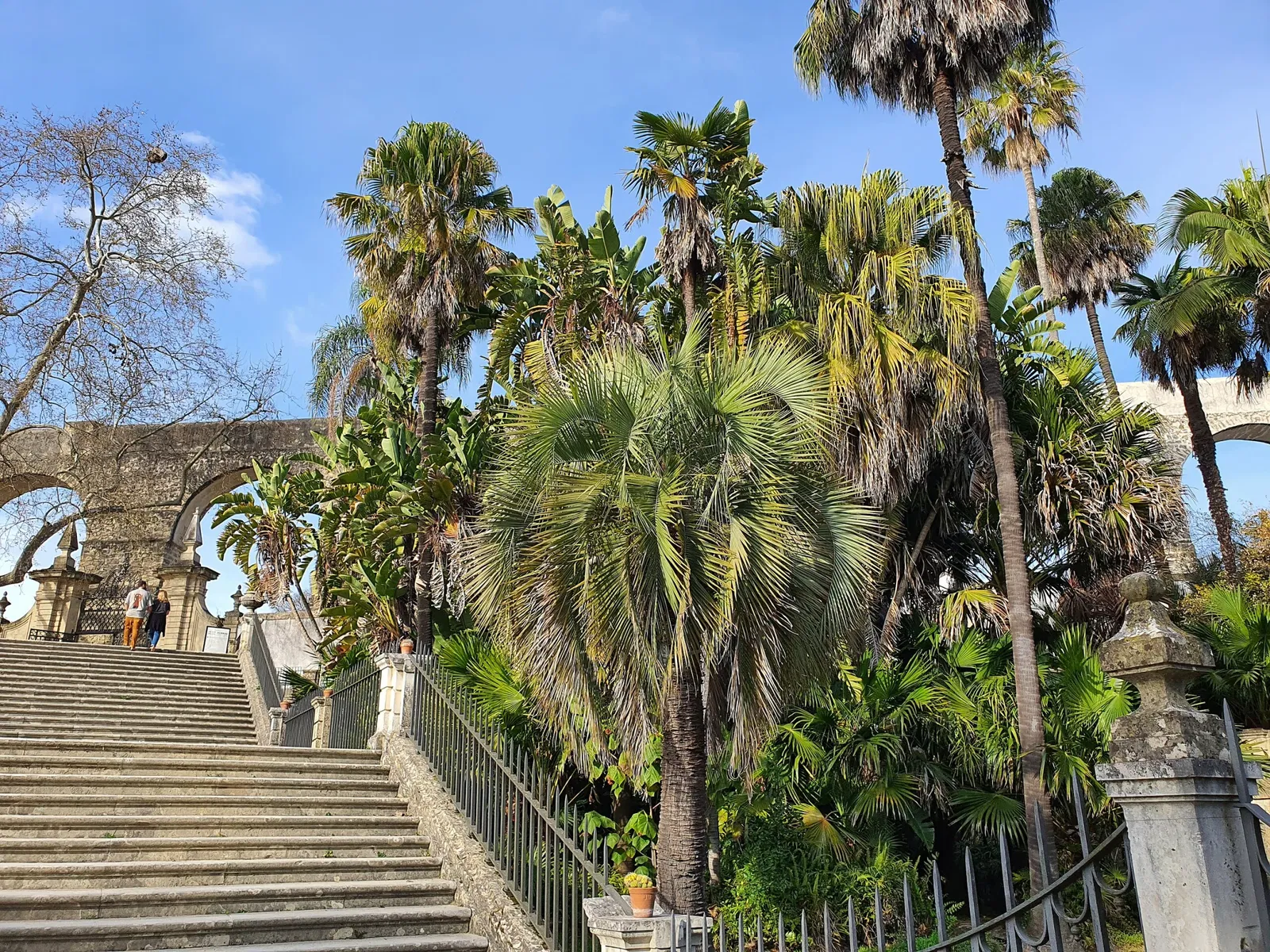 Botanical Garden of the University of Coimbra