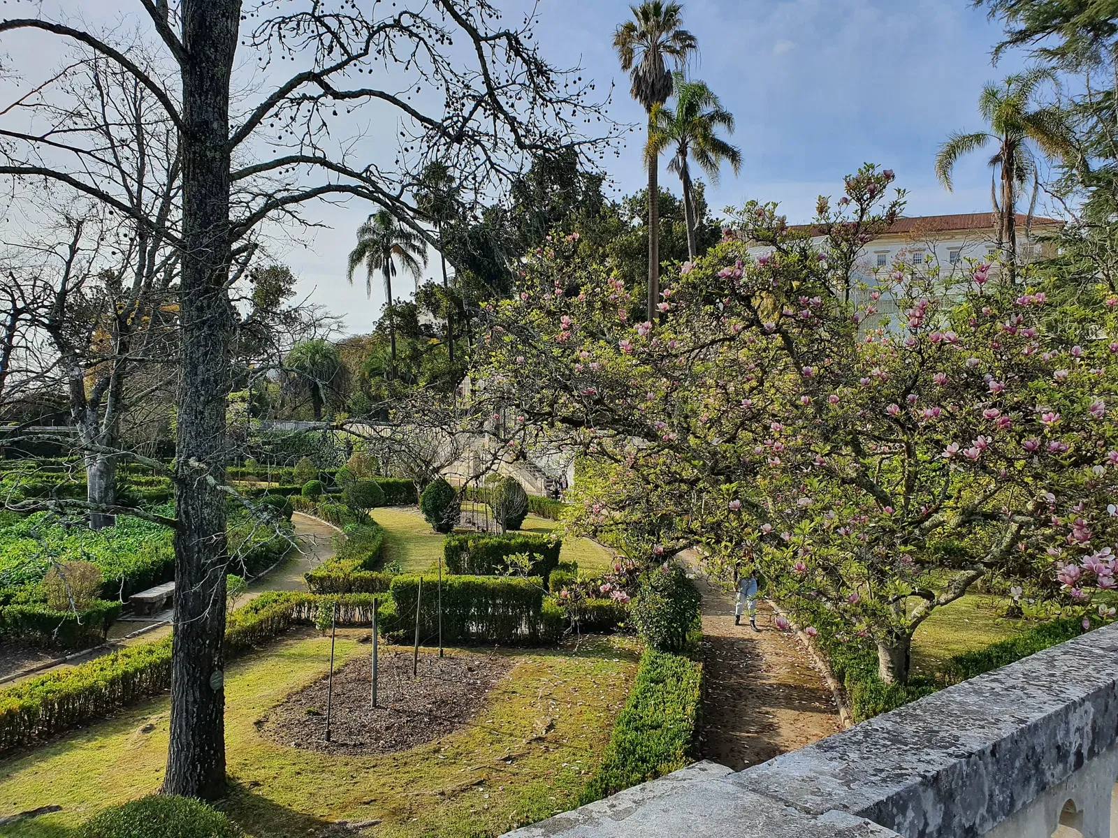 Botanical Garden of the University of Coimbra