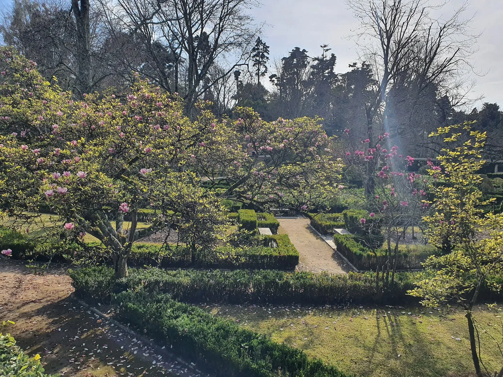 Botanical Garden of the University of Coimbra
