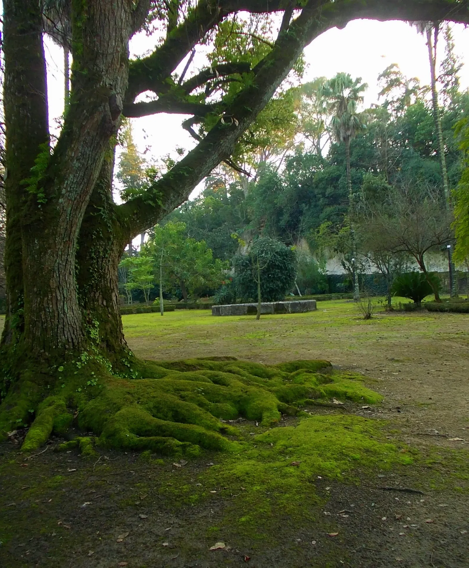 Botanical Garden of the University of Coimbra