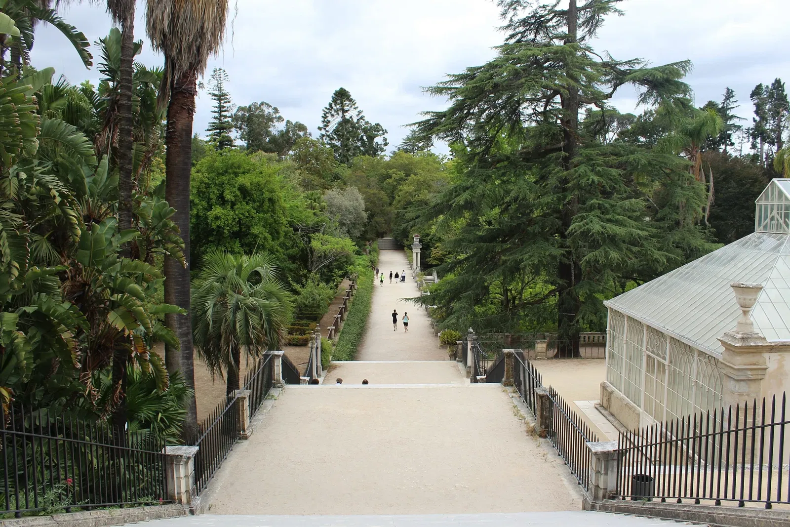 Botanical Garden of the University of Coimbra