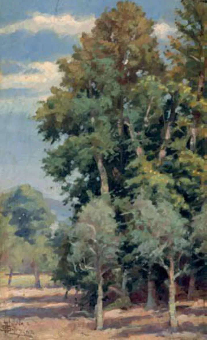 Grão Vasco National Museum